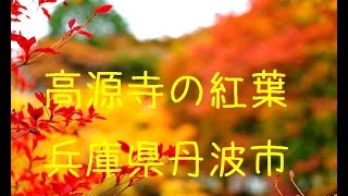 高源寺（兵庫県丹波市）の紅葉 Autumn leaves