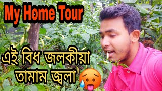 ঘৰৰ বাৰীখনৰ কিছু মুহূৰ্ত Home Tour vlogs