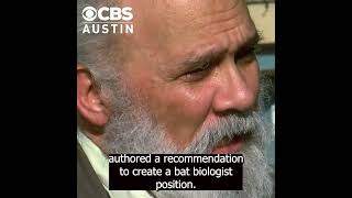 City of Austin looking into hiring bat biologist