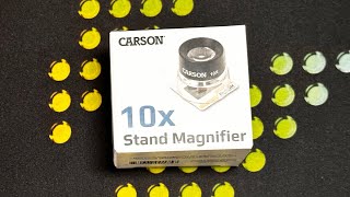 Carson LumiLoupe 10x stand magnifier - Kính lúp