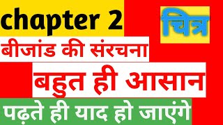 बीजाण्ड की संरचना । Bijand ki sanrachna Hindi mein | Structure of Ovule. Class12 biology chapter 2