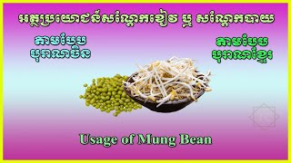 Usage of Mung Bean អត្ថប្រយោជន៍សណ្តែកខៀវ ឬ​ សណ្តែកបាយ