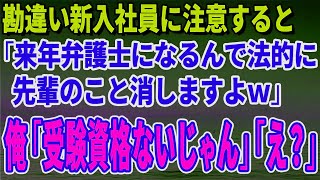 【スカッとする話】勘違い新入社員に注意すると「来年弁護士になるんで法的に先輩のこと消しますよｗ」俺「受験資格ないじゃん」「え？」