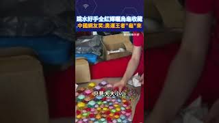 跳水好手全紅嬋曬烏龜收藏  中國網友笑:奧運王者\