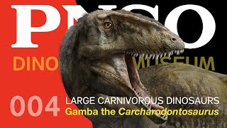 004 Gamba the Carcharodontosaurus | The Large Carnivorous Dinosaurs | PNSO DINOSAUR MUSEUM Season I