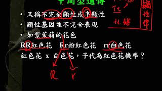 10701高二基礎生物ch4 2 09非孟德爾式的遺傳方式 中間型遺傳二毅