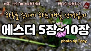 #성경 #에스더 5장~10장 읽기(BG+자막)