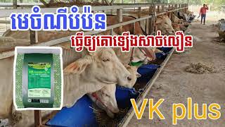 មេចំណីបំប៉នគោថ្មី VK plus ធ្វើអោយគោឡើងសាច់លឿន