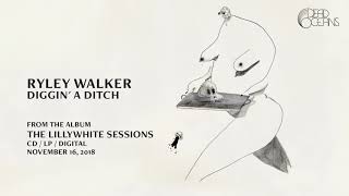 Ryley Walker - Diggin' A Ditch (Official Audio)