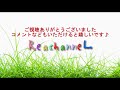 熊本市北区　高平立野公園　【子どもとのお出かけや公園デビューの参考に】【もっと地域のことを好きになる】