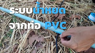 ทำระบบน้ำหยดโดยใช้ท่อ PVC ทำง่าย ไม่ต้องใช้ท่อ PE