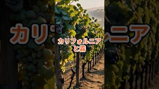 カリフォルニアと霧  #wine #ワイン豆知識 #ワイン #ワインのある暮らし