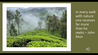 Majestic Munnar | Eravikulam National Park | Tropical Paradise | Must in Munnar | Stunning Route