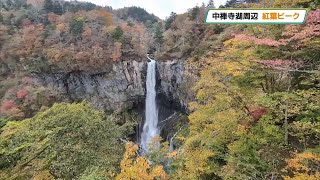 奥日光で紅葉みごろ、中禅寺湖周辺などピークに