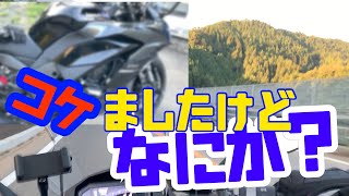 【ninja1000SX】免許とって2週間で峠に挑んだ男の末路　道志みち編１