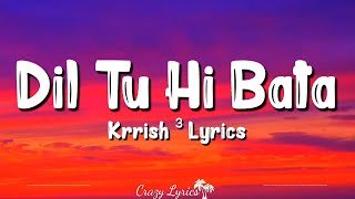 Dil Tu Hi Bata (Lyrics) | Krrish 3 | Alisha Chinai, Zubeen Garg