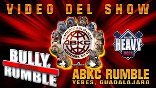 ABKC RUMBLE 2018, American Bully  Spain SHOW