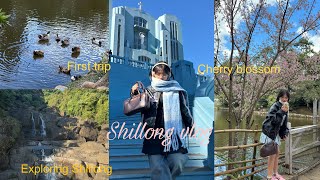 My first trip ever to Shillong 🍓🌸( Meghalaya) || 2 days trip , sightseeing, cherry blossom