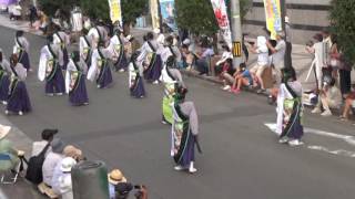 105　纏り衆 縁陣　えひめYOSAKOI祭り 2016　アクトピア会場