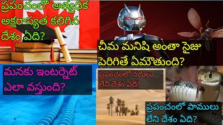 చీమ మనిషి అంతా సైజు పెరిగితే ఏమౌతుంది? #shorts #youtubeshorts  #trending