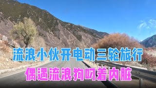 流浪小伙骑着电动车在高原捡废铁，偶遇流浪狗叼着内脏，实在太可怜！【电动三轮户外探宝旅行】