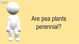 Are Pea Plants Perennial?