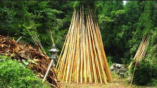 北山台杉　垂木製造　京都鷹峯