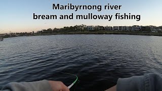 Lure fishing for Bream and Mulloway | Maribyrnong river BIG BREAM #bream #mulloway #lures #landbased