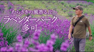 【シニアの丘陵花めぐり】多可町のラベンダーパーク