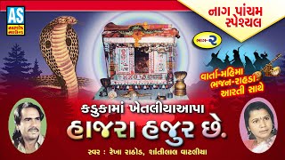 Kaduka Ma Khetaliya Aapa Part-2 | Nagpanchami Special | Mahima Varta Bhajan Rasda Aarti |Ashok Sound