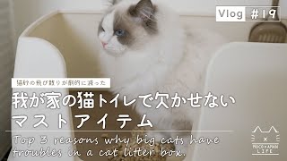 大型猫が猫トイレで困ったことトップ3｜ラグドール猫【vlog #19】