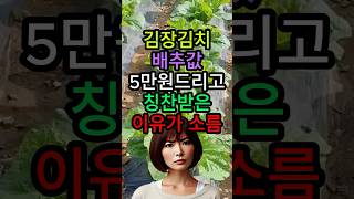 김장 김치 배추값으로 시어머니에게 5만원드리고 칭찬받았어요