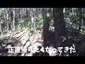 埼玉県ときがわ町 雷電山に登ってみた