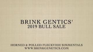 Brink Genetics 2019 Fleckvieh Simmental Bull Sale Pt. 1 Lots F800-F843