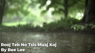 Rooj Teb No Tsis Muaj Koj By Bee Lee | Karaoke | Original