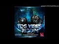 TDS Vibes Riddim Mixtape By Dj Flicky Revolution Music