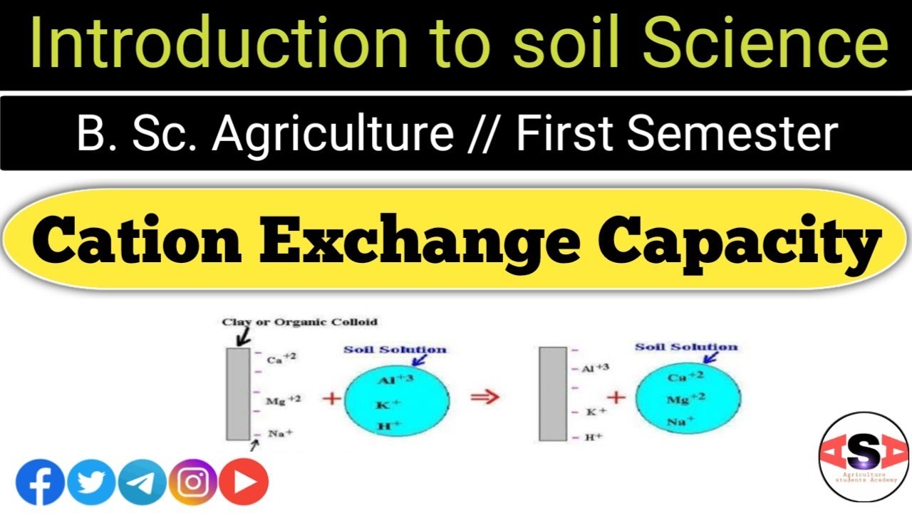 Soil Science // Cation Exchange Capacity // CEC - YouTube