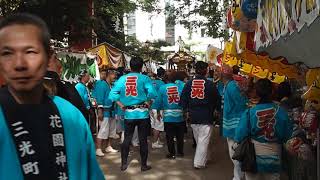 令和元年　新宿　花園神社　例大祭　三光町　町内神輿渡御　宮入り　2019.5.26 Shinjuku Hanazono Jinja