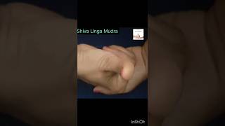 Unlocking Inner Power: Shiva Linga Mudra Meditation Guide#shorts