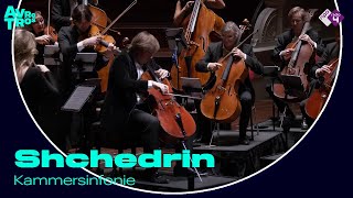 Shchedrin: Quadrille (uit 'Not Love Alone') - Amsterdam Sinfonietta, cellist Ivan Karizna - Live HD