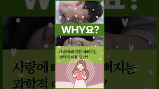 [Why요?] 사랑에 빠지면 예뻐지는 과학적 이유 있다? #shorts