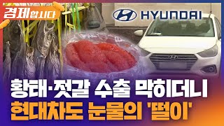 황태 ·젓갈 수출 막히더니 현대차도 눈물의 '떨이'…전쟁 '불똥' 사방으로 [주말엔 경제] / KBS 2024.02.25.