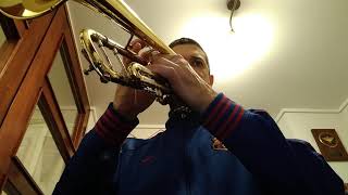 Eswatini anthem (Swaziland - Umbuso weSwatini): Nkulunkulu Mnikati wetibusiso temaSwati [trumpet]