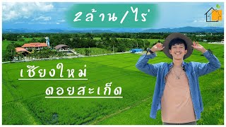 ขายที่ดินขนาด 2ไร่ 1งาน #ขายที่ดินเชียงใหม่