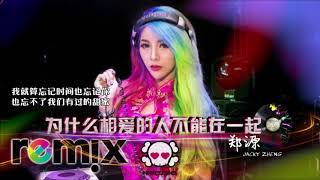 郑源 Jacky Zheng - 为什么相爱的人不能在一起「DJ REMIX 伤感舞曲」⚡ 最新热爆 🎧