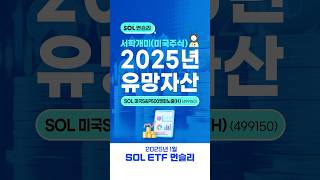 2025년 서학개미(미국주식) 유망자산 'SOL 미국S\u0026P500엔화노출(H)'