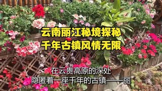 云南丽江秘境探秘，千年古镇风情无限！