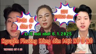 Nguyễn Phương Hằng dằn Mặt Tiktoker NỜ Ô NÔ, 6.1.2025. Vụ Án Lừa Đảo KIM CƯƠNG chưa có Hồi Kết ...