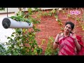 మిద్దెతోట నిర్వహణ మెళకువలు terrace garden tips by mad gardener madhavi