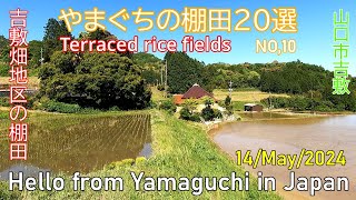 やまぐちの棚田20選【NO,10 吉敷畑地区の棚田 　山の中腹から吉敷畑橋へ】山口市吉敷　2024年05月14日